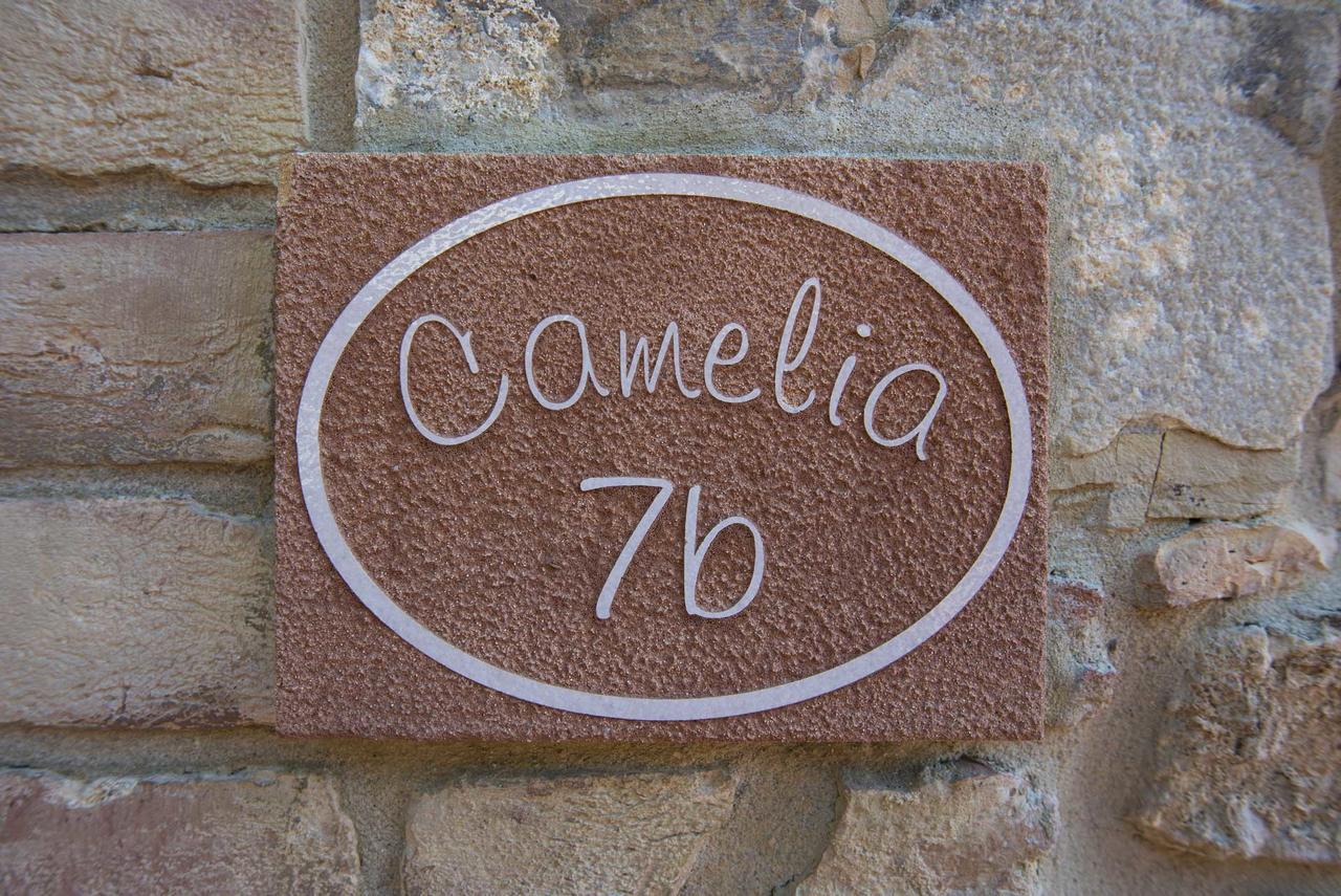 Agriturismo Le Gallozzole Monteriggioni Buitenkant foto